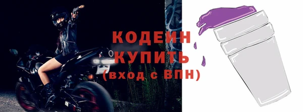 амф Дмитриев