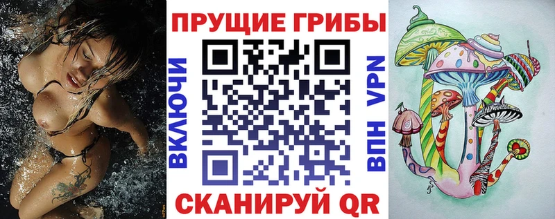 купить  сайты  Среднеколымск  Галлюциногенные грибы Cubensis 